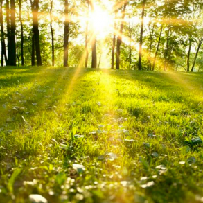 Butiksinventarier för våren