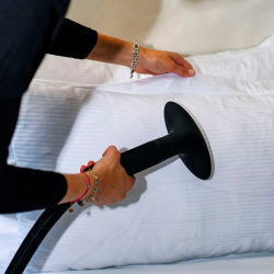 Clothing Steamer Pro 2000 descaling-free