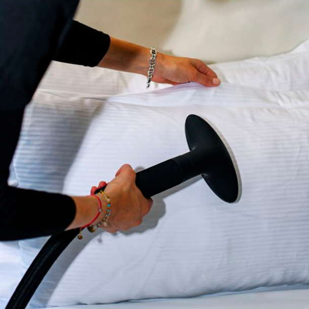 Clothing Steamer Pro 2000 descaling-free