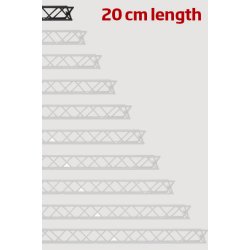 Module for Crown Truss 10