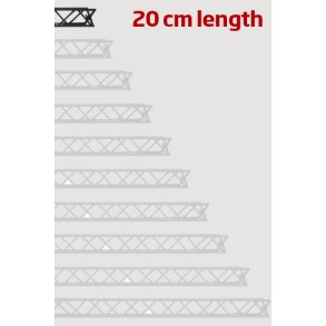 Module for Crown Truss 10