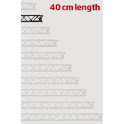 Module for Crown Truss 10