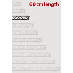 Module for Crown Truss 10