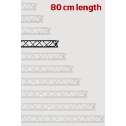 Module for Crown Truss 10