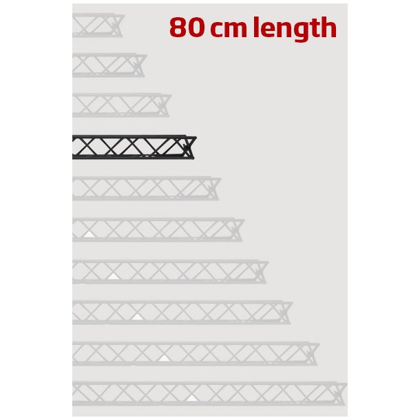 Module for Crown Truss 10