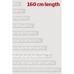 Module for Crown Truss 10