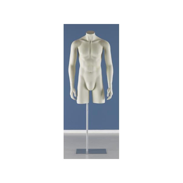 Torso - Long men's torso with arms, FASHION