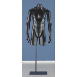 Torso - Long men's torso with arms, FASHION