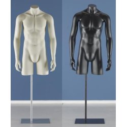 Torso - Long men's torso with arms, FASHION