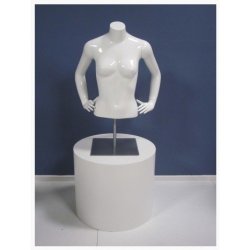 Torso - Short white high gloss female torsos with arms