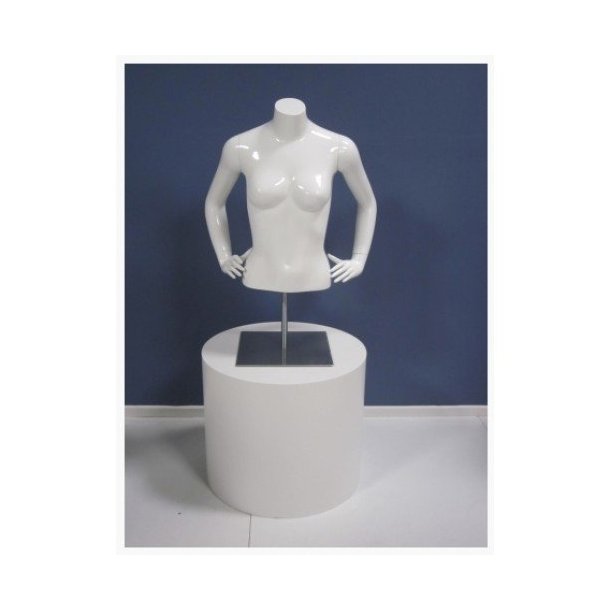 Torso - Short white high gloss female torsos with arms