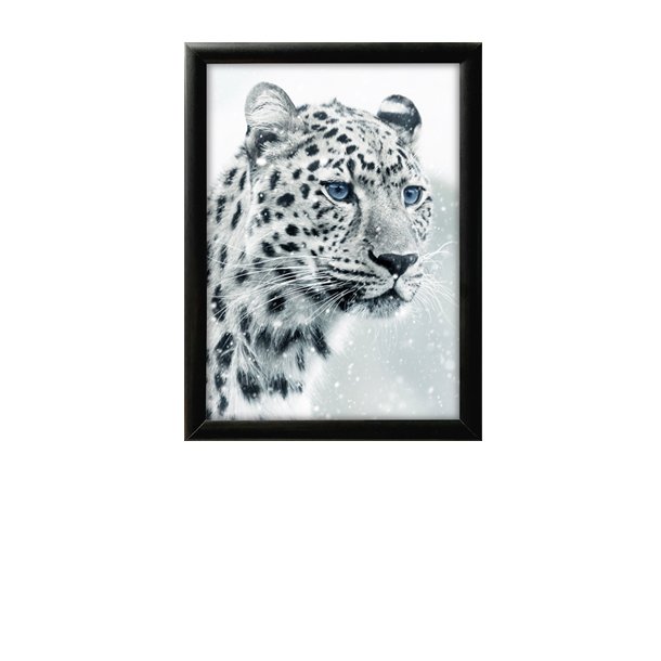 Alu snap frame, 25 mm