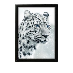 Alu snap frame, 25 mm