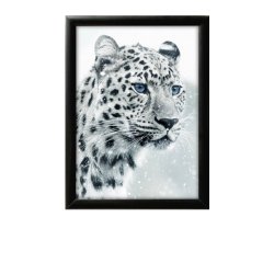 Alu snap frame, 25 mm