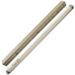 Around Fluorescent Tubes For Expo Light Box Single Sided