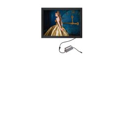 Crown Led Out Box, Single Sided