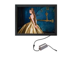 Crown Led Out Box, Single Sided