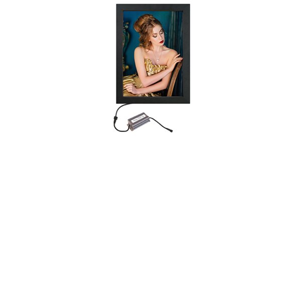 Crown Led Out Box, Double Sided