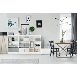 Opbevaringsboks Esselte Home S (3)