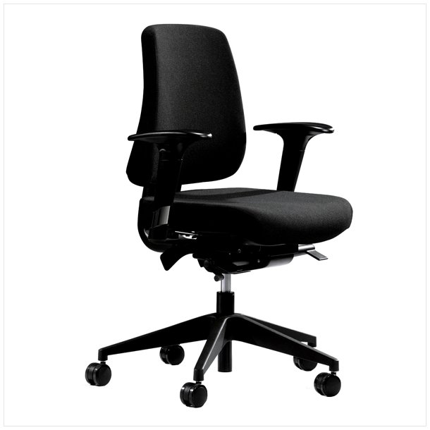 Canadian Ergo 01 office chair