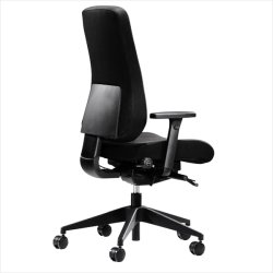 Canadian Ergo 02 office chair