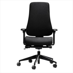 Canadian Ergo 02 office chair
