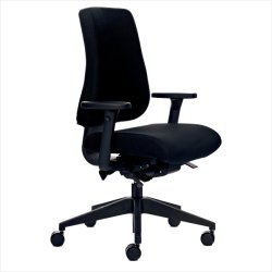 Canadian Ergo 02 office chair