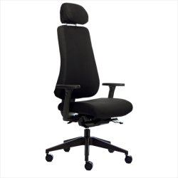 Canadian Ergo 04 office chair