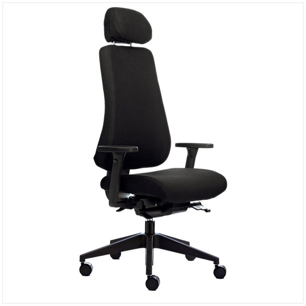 Canadian Ergo 04 office chair