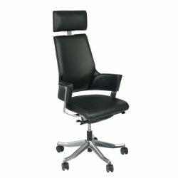 Delphi chair with headrest