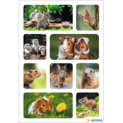 Herma stickers Decor skovens dyr (3)