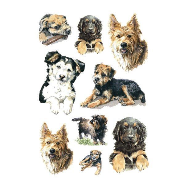 Herma stickers Decor hunde (3)