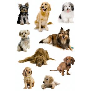 Herma stickers Decor hunde (3)
