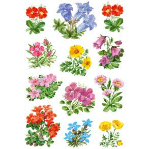 Herma stickers Decor blomster (3)