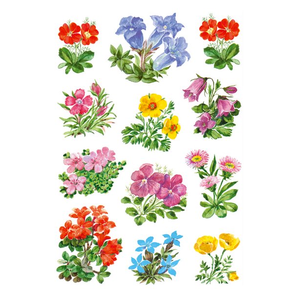 Herma stickers Decor blomster (3)