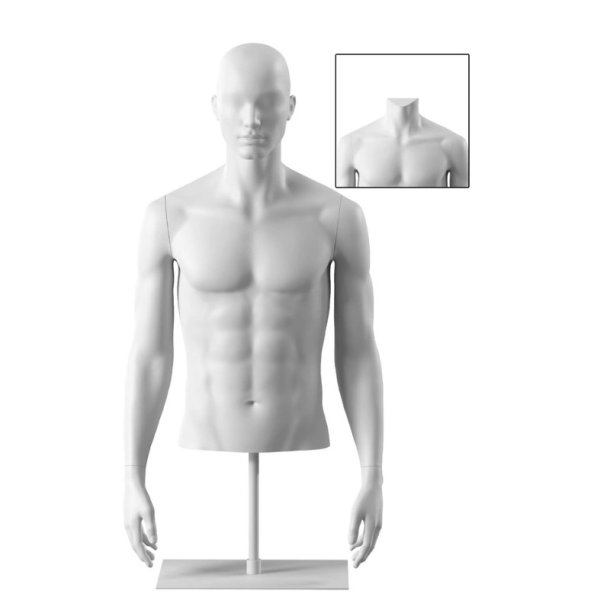 Male torso, with face and full arms - white