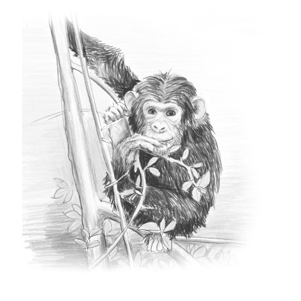 Blyant Mars Lumograph 2B