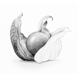 Blyant Mars Lumograph 2B