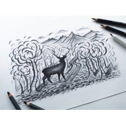 Blyant til sketching kul mixed st (12)