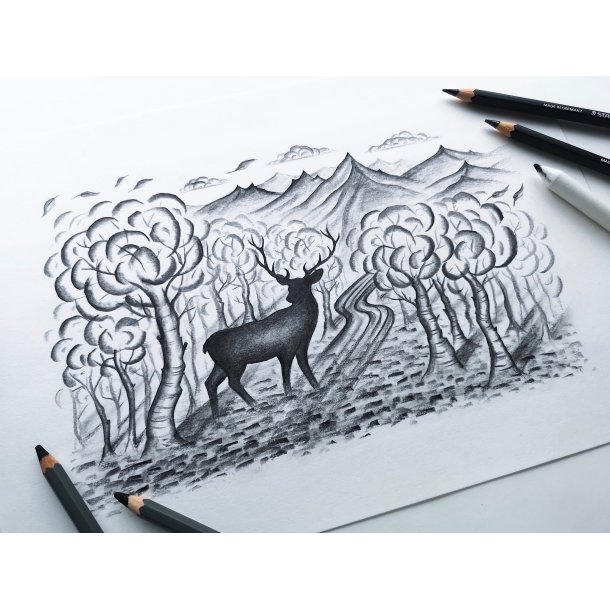 Blyant til sketching kul mixed st (12)