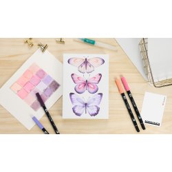 Watercoloring Canvas set Tombow Butterflies