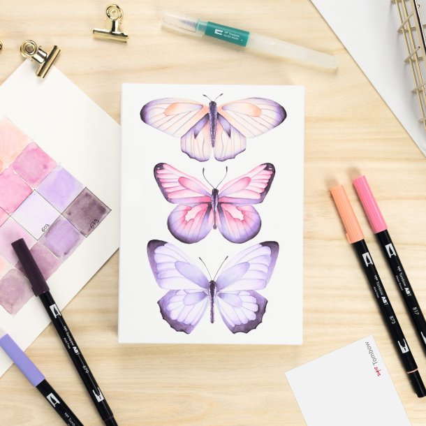 Watercoloring Canvas set Tombow Butterflies