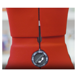 Skrddergine, dame. Rd, small