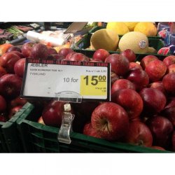 Clear-GRIP sign holder with large clamp 10 pieces pack