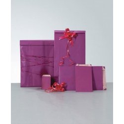Gift bags - kraft paper - 5 sizes - 10 colors - 250 pcs