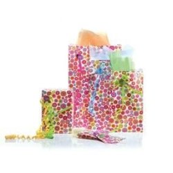 Gift bags - kraft paper - 5 sizes - 10 colors - 250 pcs