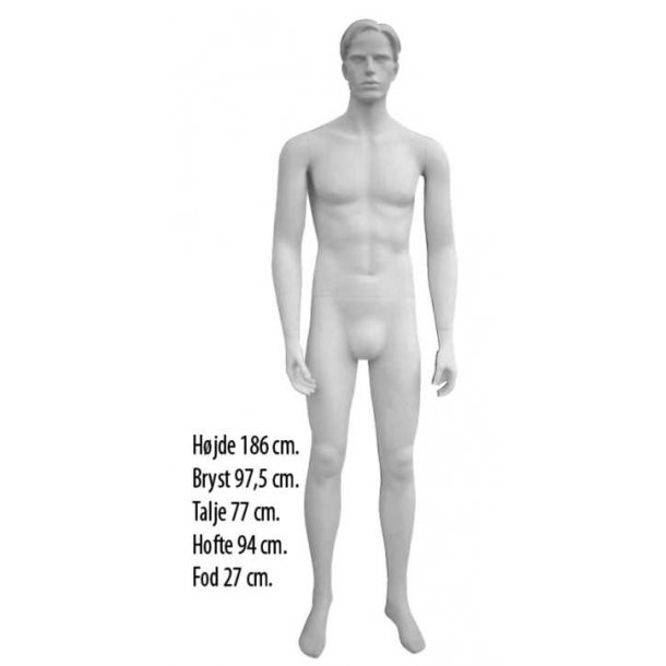 Male mannequin 99355, complete with face, matte white