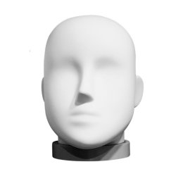 Mannequin head with holes for earrings - matte white - MIX
