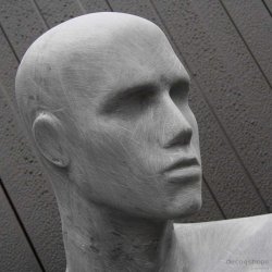 Mannequin - Raw damemannequin, gende