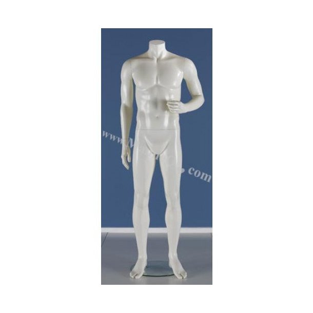 Male mannequin with or without head, model Ralf 1051, many colors 